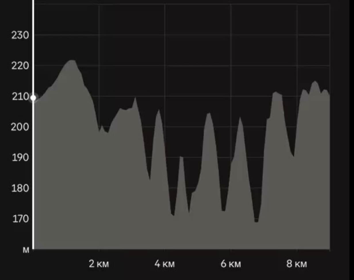 Профиль высот трассы ЗУБЕЦ